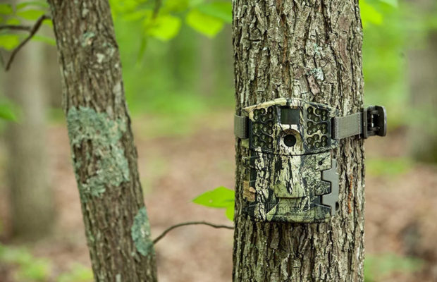 what makes a great game camera